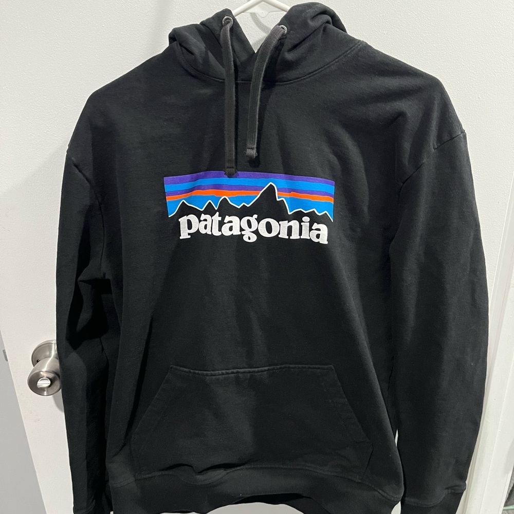 Patagonia Hoodie